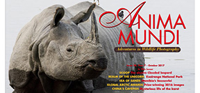 Issue 28 of Anima Mundi magazine available Photo