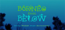 Borneo from Below: Parrotfish Photo