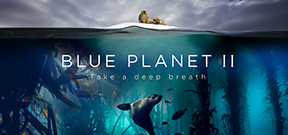 Blue Planet 2: Attenborough on the new series, climate change and optimism Photo