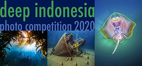 Call for Entries: DEEP Indonesia International Photo Contest Photo