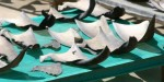 Support the California Assembly Bill 376 to ban shark fin sale in CA Photo