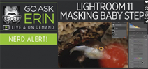 Go Ask Erin: Nerd Alert for LR Masking Tools Photo