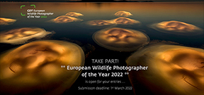 Call for Entries: European Wildlife Photographer of the Year Photo