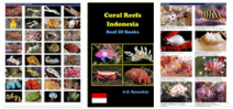 Indonesia Coral Reef guide released Photo