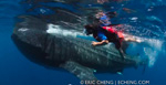 5-year old boy swims with whale shark Photo