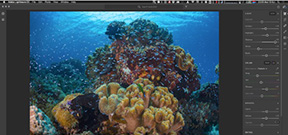 Adobe releases updated image editing apps Photo