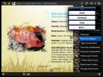 Tropical Marine Fish Guide app Volume 2 released Photo