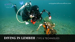 Video: Lembeh Tips and Techniques Photo