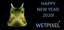 Wishing the Wetpixel Community a very Happy New Year Photo