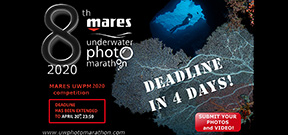 Deadline Extended: Mares Underwater Photo Marathon Photo