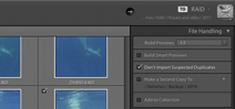 Lightroom Coffee Break: View photos faster with 1:1 preview Photo
