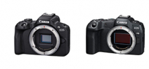 Canon Announces EOS R8 and R50 Photo