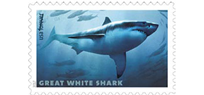 USPS announces Sharks Forever Stamps Photo