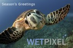 Season’s Greetings from all at Wetpixel Photo