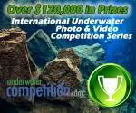 Call for entries: Our World Underwater and DEEP Indonesia Photo