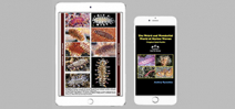 Reef ID Books Releases Guide to Marine Worms Photo