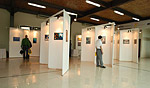 DEEP Indonesia 2007 winners exhibition Photo