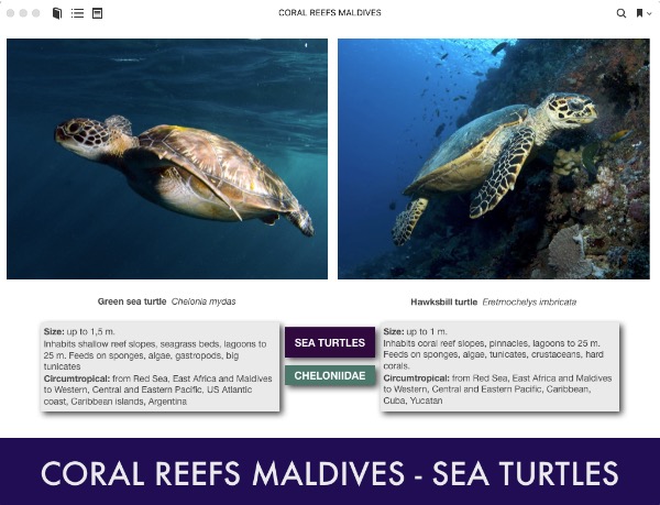 Reef ID Books publishes Maldives reef guide :: Wetpixel.com