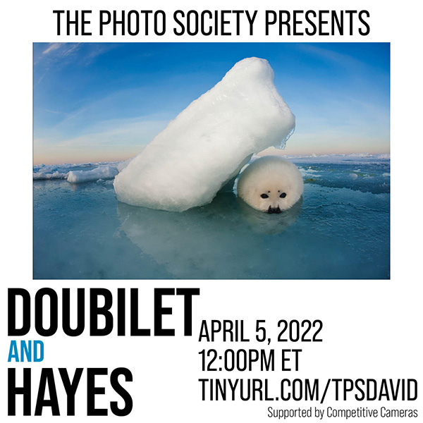 Doubilet and Hayes on Wetpixel
