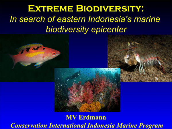 Extreme biodiversity by Mark Erdman on Wetpixel.