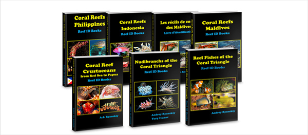 Reef Id Books on Wetpixel
