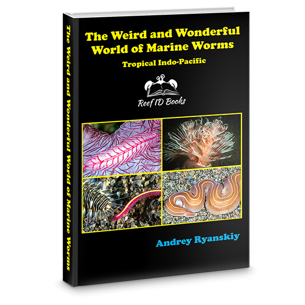 Marine Worms on Wetpixel