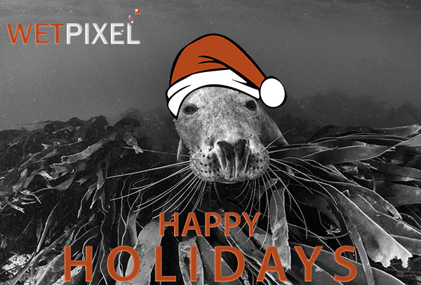 Happy holidays on Wetpixel